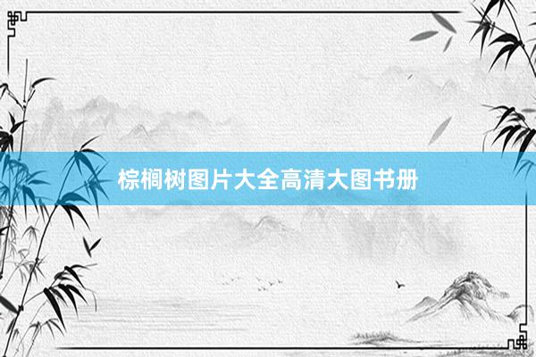 棕榈树图片大全高清大图书册