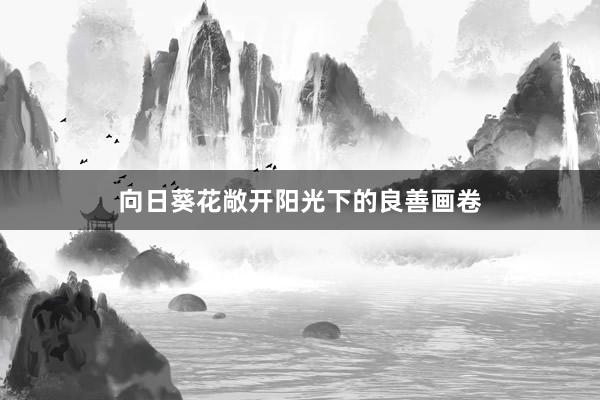 向日葵花敞开阳光下的良善画卷